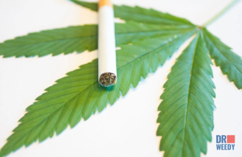 Marijuana vs Cigarettes: Comparing the Effects