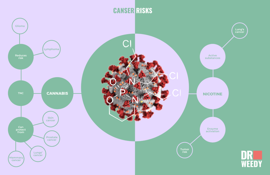 marijuana vs tobacco cancer risks