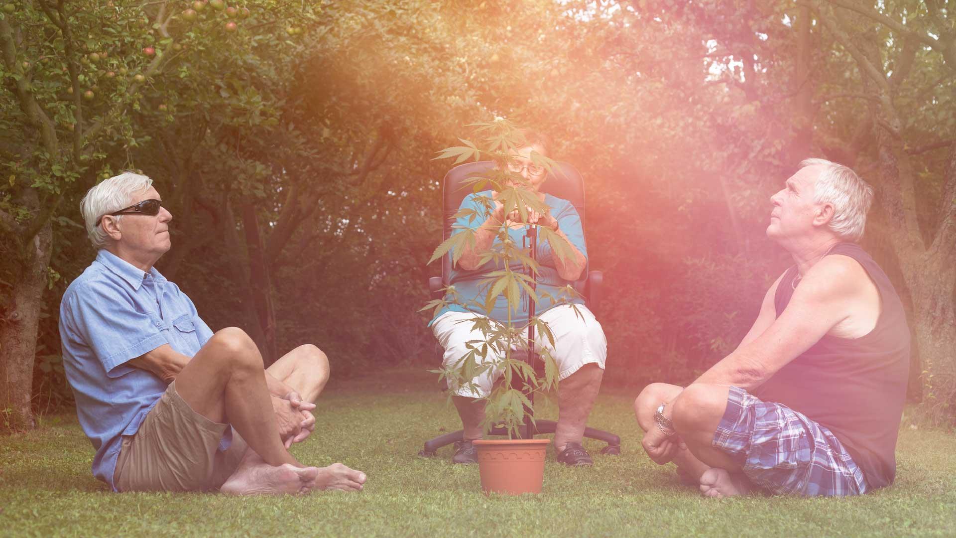 Why do so many old people smoke weed?