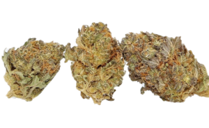 CBD-God-Strain-Review-e1592585884403-300x184.png