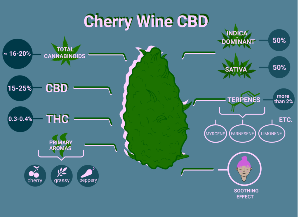 Cherry Wine CBD Strain