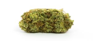 acdc-cbd-strain-e1593158481541-300x133.jpg