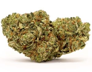 otto-cbd-strain-e1595276451722-300x235.jpg