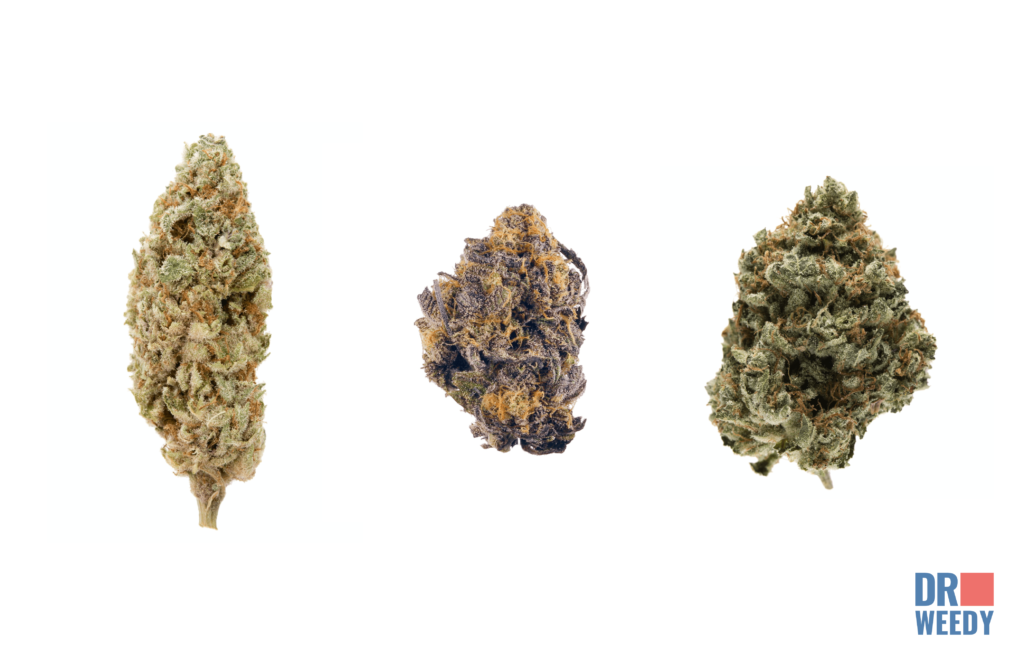 Los Angeles’ Most Popular Weed Strains