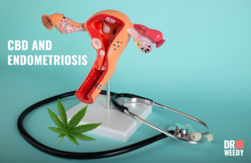 CBD and Endometriosis