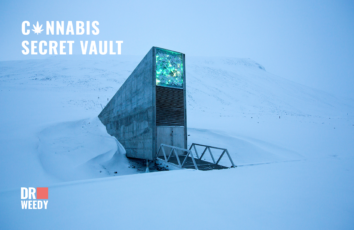 Сannabis prepared to survive the apocalypse in a secret vault