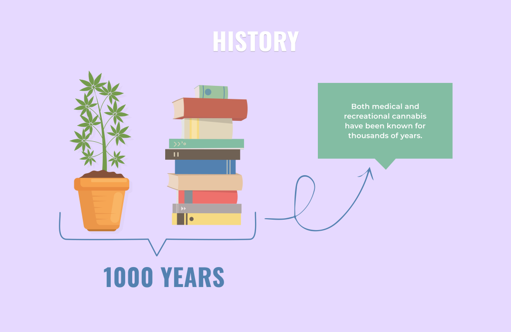 History of marijuana 1000 years