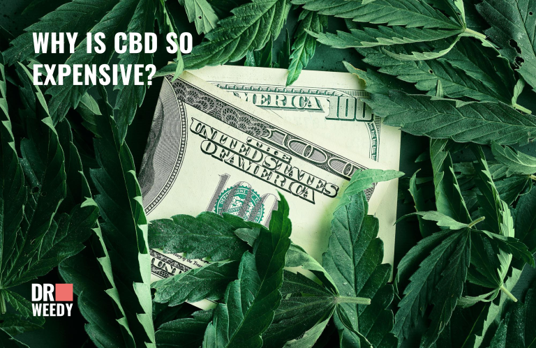 Why Is CBD So Expensive?