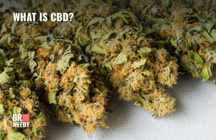 What is CBD?