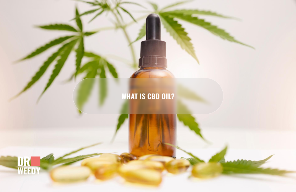 What is CBD oil?