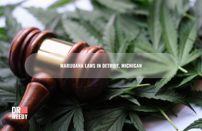 Marijuana Laws in Detroit, Michigan