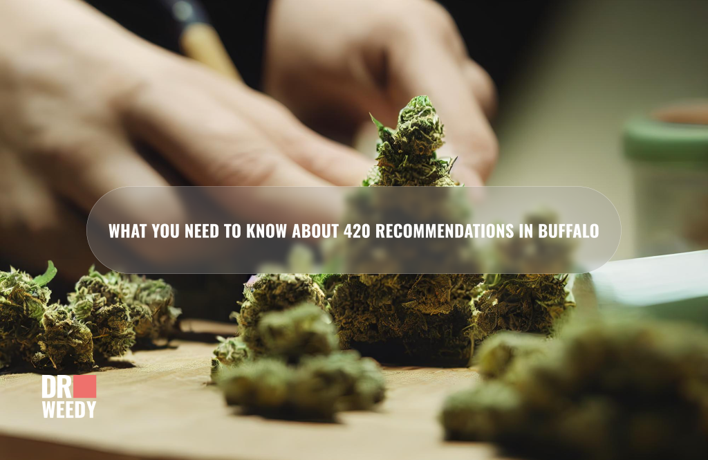 What you Need to Know About 420 Recommendations in Buffalo