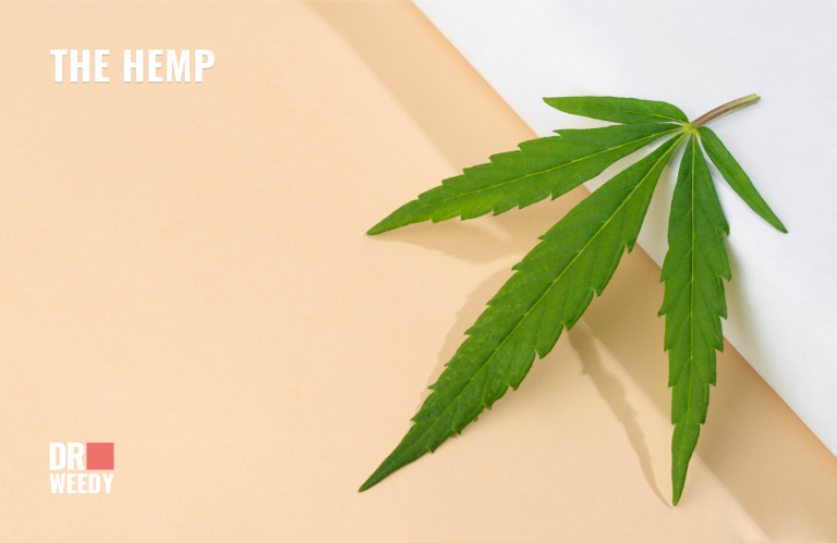 The Hemp