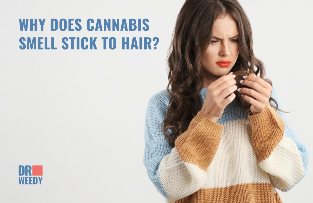 Why does cannabis smell stick to hair?