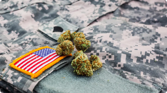 Medical cannabis for veterans in California