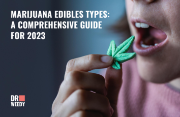 Marijuana Edibles Types: A Comprehensive Guide for 2024