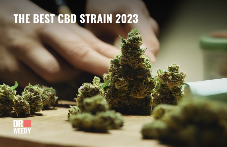 The Best CBD Strains 2023