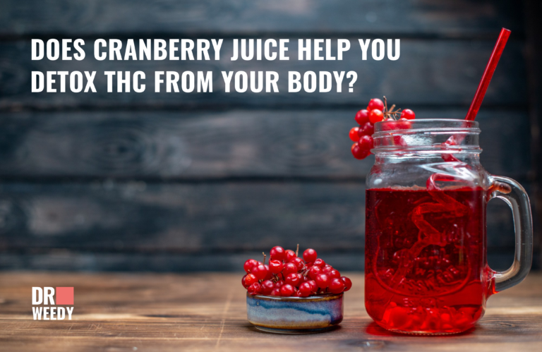 Cranberry Juice and THC Detoxification Efficacy and Insights