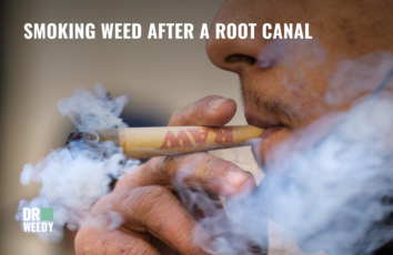 Smoking Weed After a Root Canal