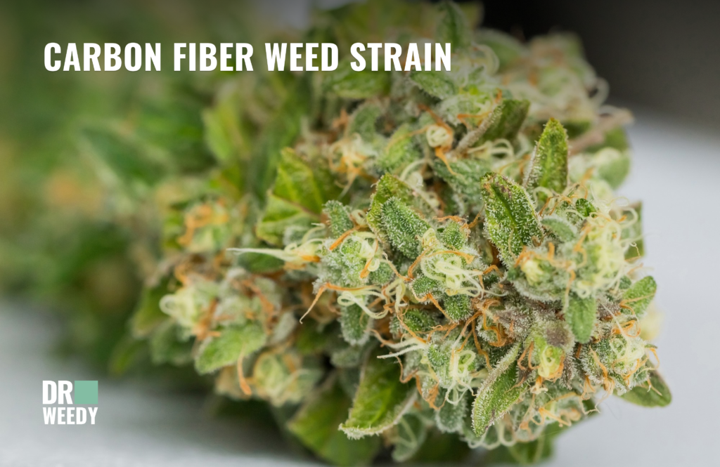 Carbon Fiber Strain A Comprehensive Guide to This Unique Cannabis Variety