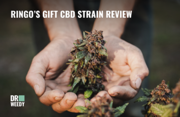 Ringo’s Gift CBD Strain Review