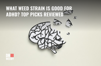 Best Cannabis Strains for ADHD