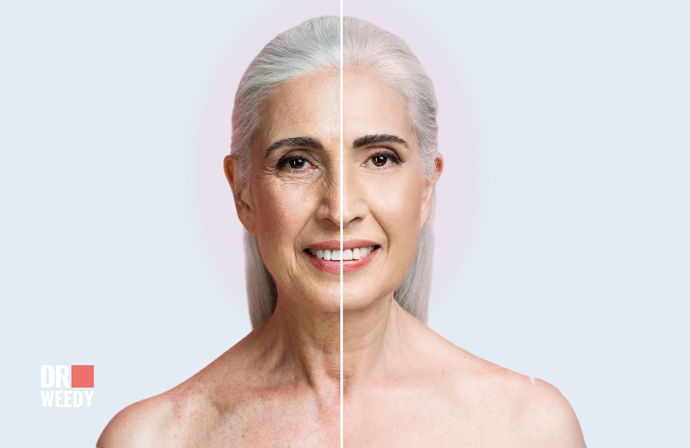 Factors That Influence Aging