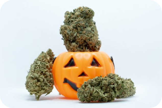 Frame 12726291432 - Spooktacular Strains Elevate Your Halloween with Cannabis