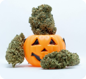 Frame 1272629143 1 - Spooktacular Strains Elevate Your Halloween with Cannabis